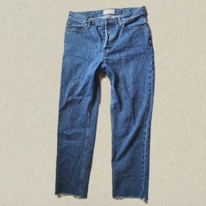 Everlane 90s Cheeky Jeans Size 28 Deep Atlantic Raw Hem High Rise Vintage Fit